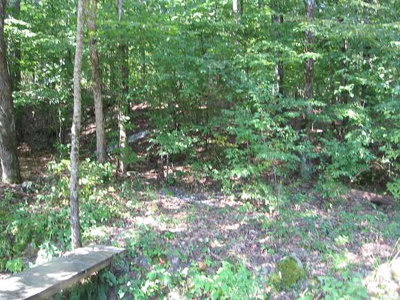 0.26 Acres of Residential Land for Sale in Hot Springs Village, Arkansas