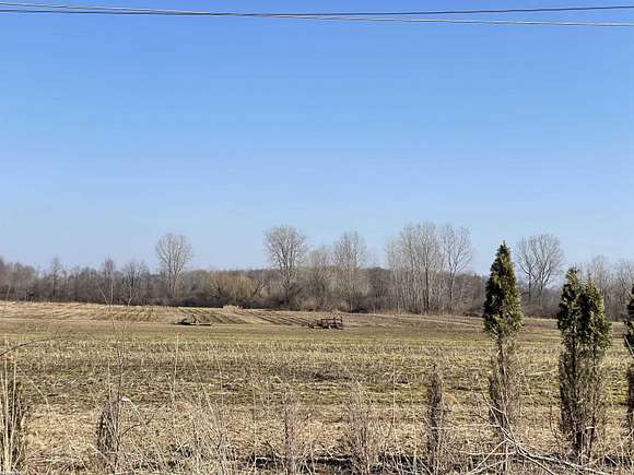 20 Acres of Agricultural Land for Sale in Ray Township, Michigan