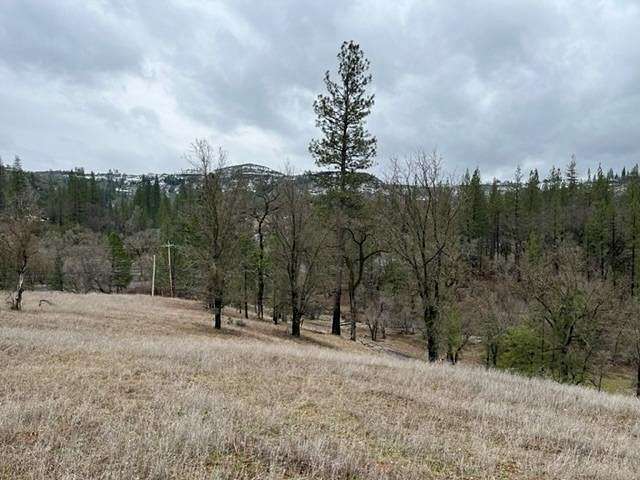 3 Acres of Residential Land for Sale in Mountain Ranch, California