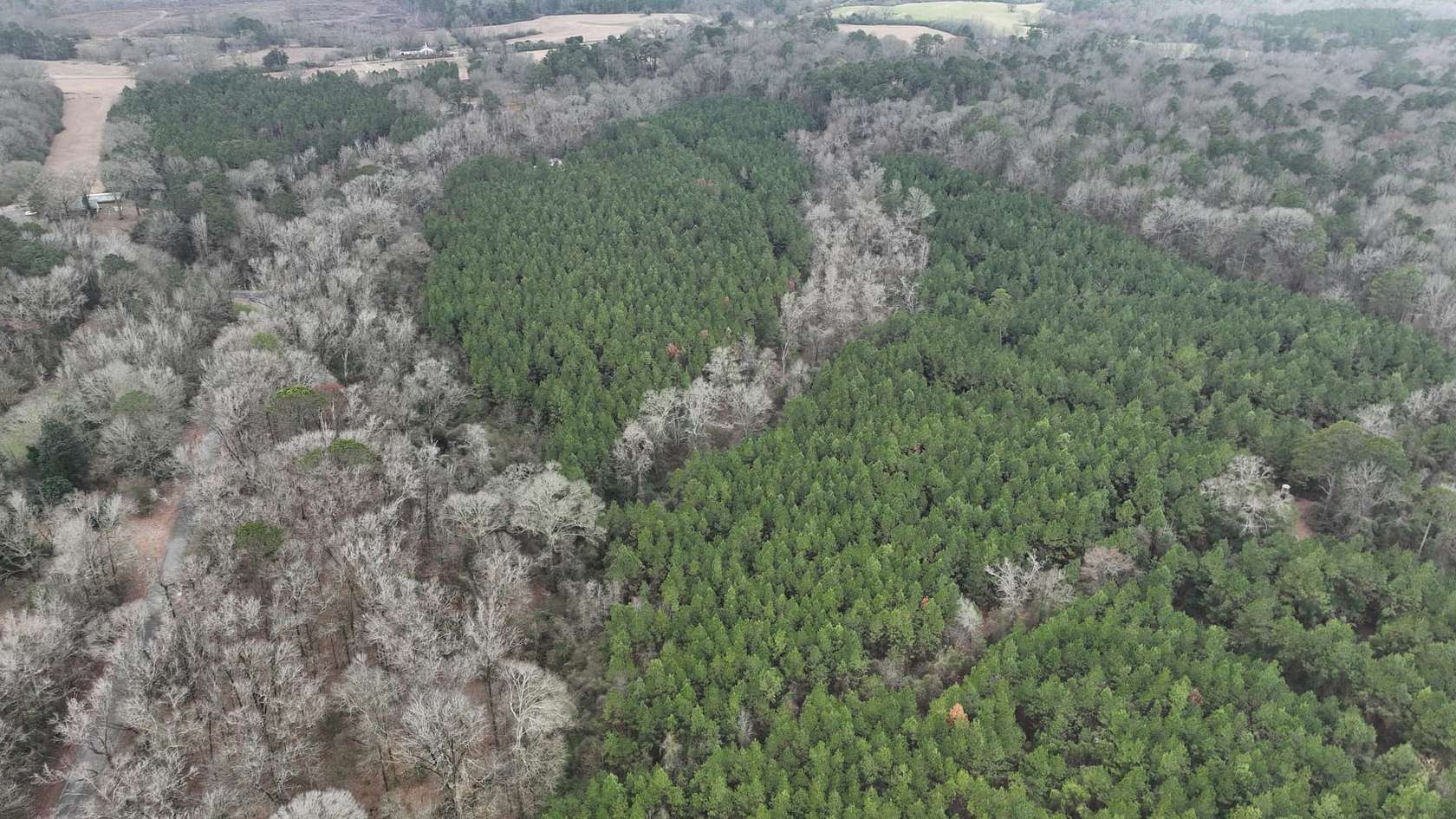 45 Acres of Recreational Land & Farm for Sale in Downsville, Louisiana