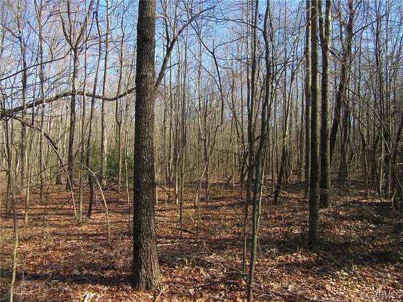 22 Acres of Agricultural Land for Sale in Prince George, Virginia