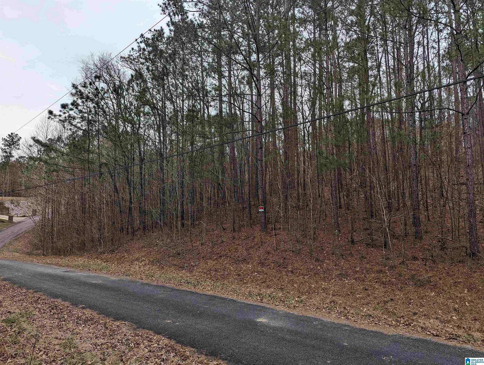 7.9 Acres of Residential Land for Sale in Odenville, Alabama