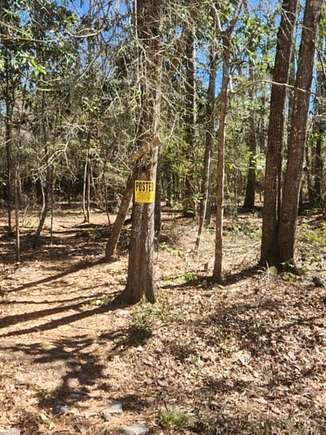 0.14 Acres of Residential Land for Sale in Livingston, Texas
