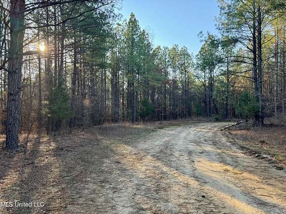 231 Acres of Recreational Land for Sale in Carrollton, Mississippi