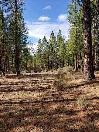 0.99 Acres of Residential Land for Sale in Chiloquin, Oregon