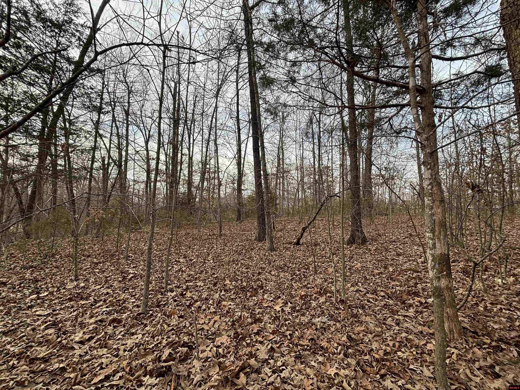 0.7 Acres of Residential Land for Sale in Mountain Home, Arkansas