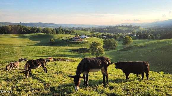 84 Acres of Recreational Land & Farm for Sale in Ewing, Virginia