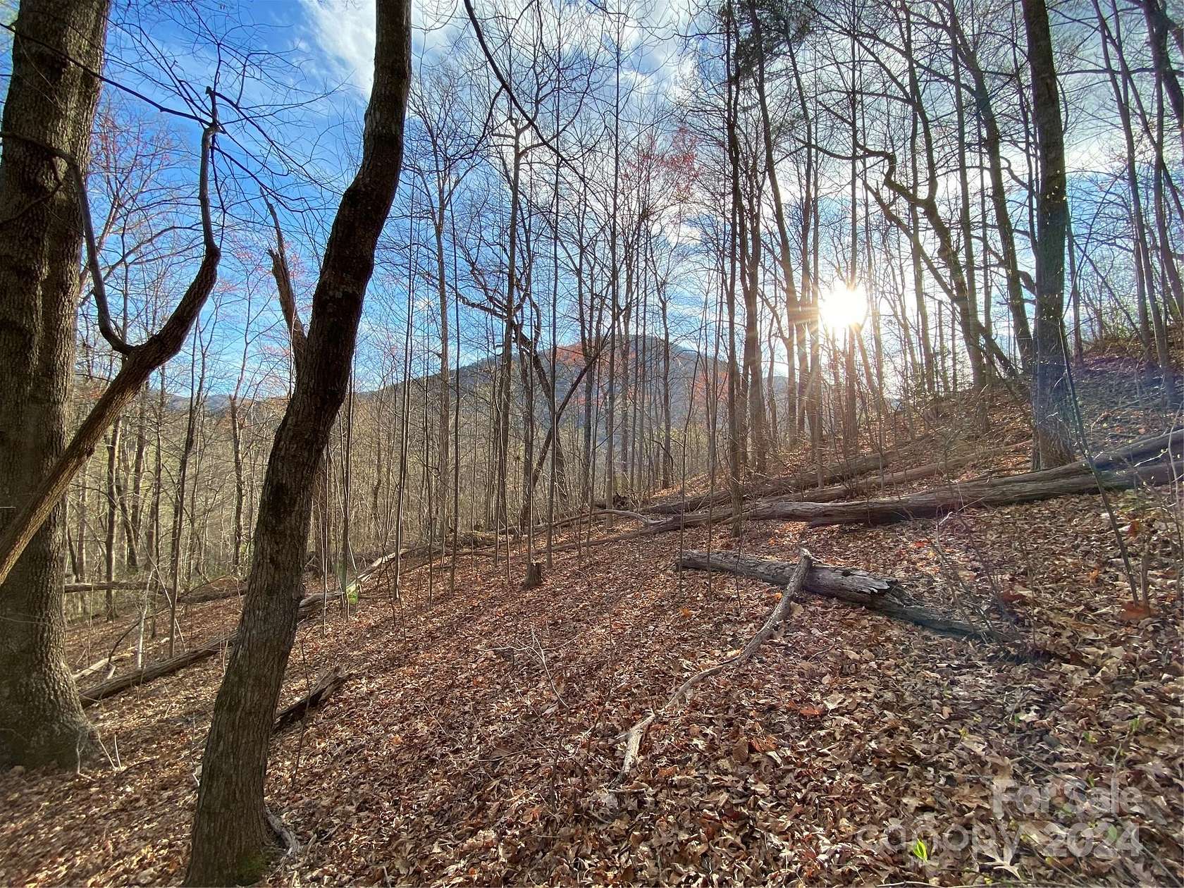 11.6 Acres of Land for Sale in Lake Lure, North Carolina