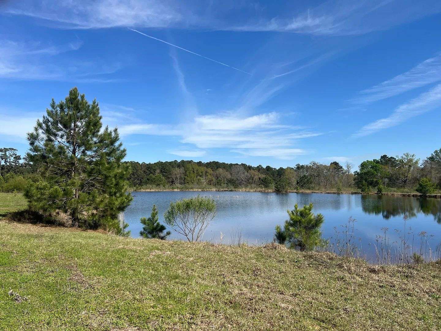 28 Acres of Land for Sale in Dothan, Alabama