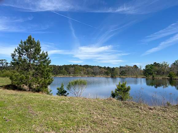 28 Acres of Recreational Land for Sale in Dothan, Alabama