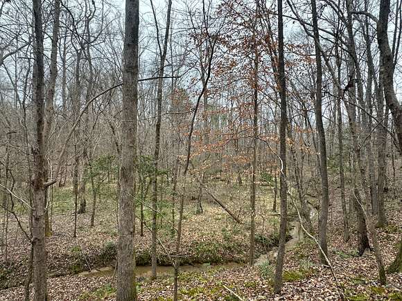 53 Acres of Recreational Land for Sale in Camden, Alabama