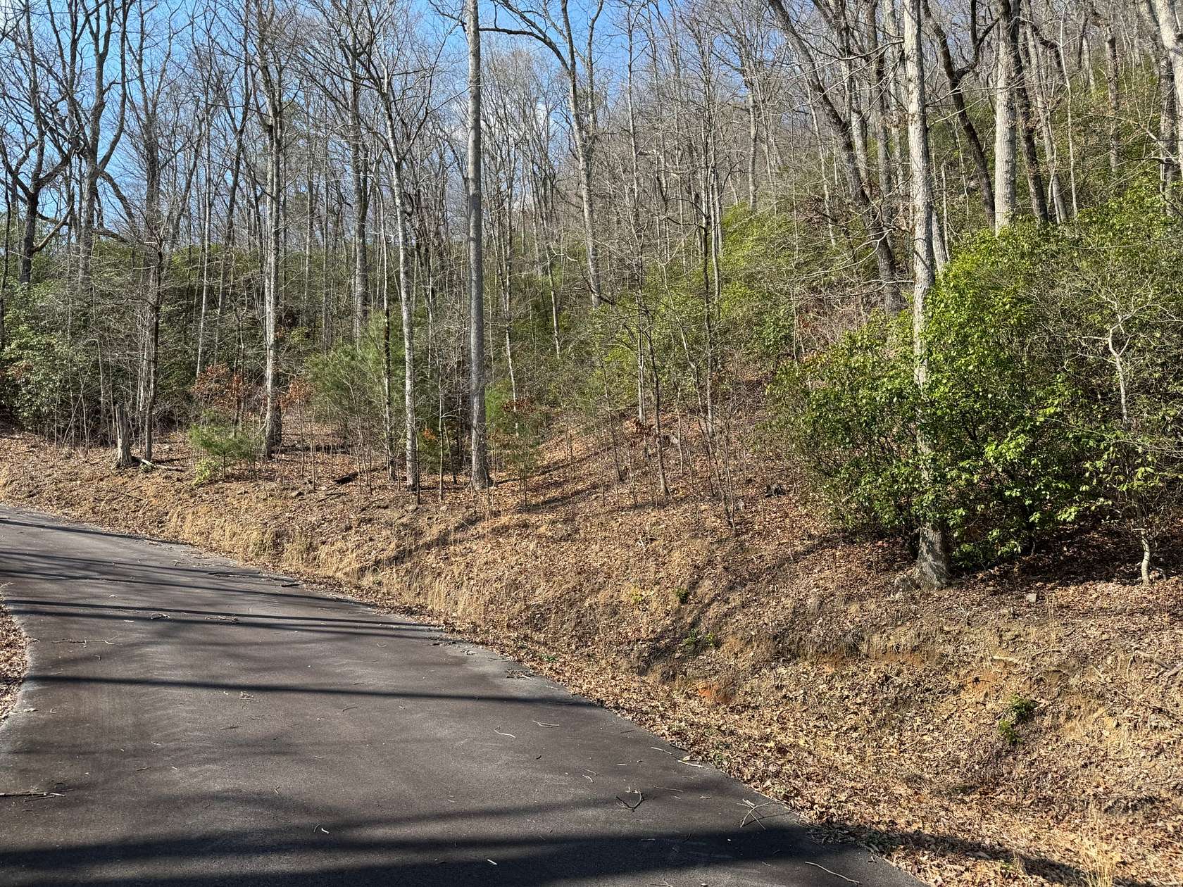 5.8 Acres of Recreational Land for Sale in Hiawassee, Georgia