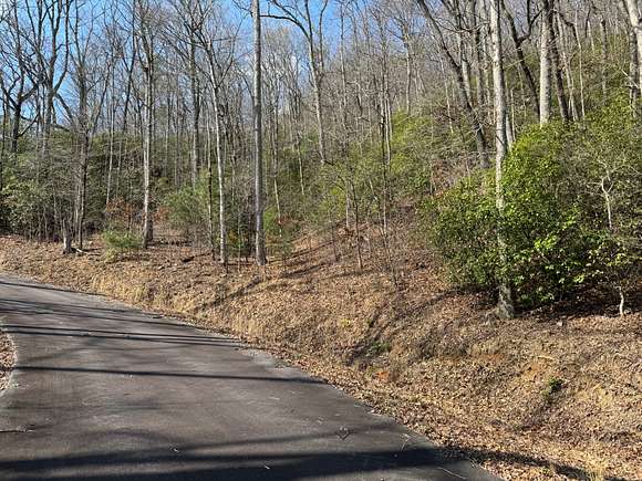 3.5 Acres of Recreational Land for Sale in Hiawassee, Georgia