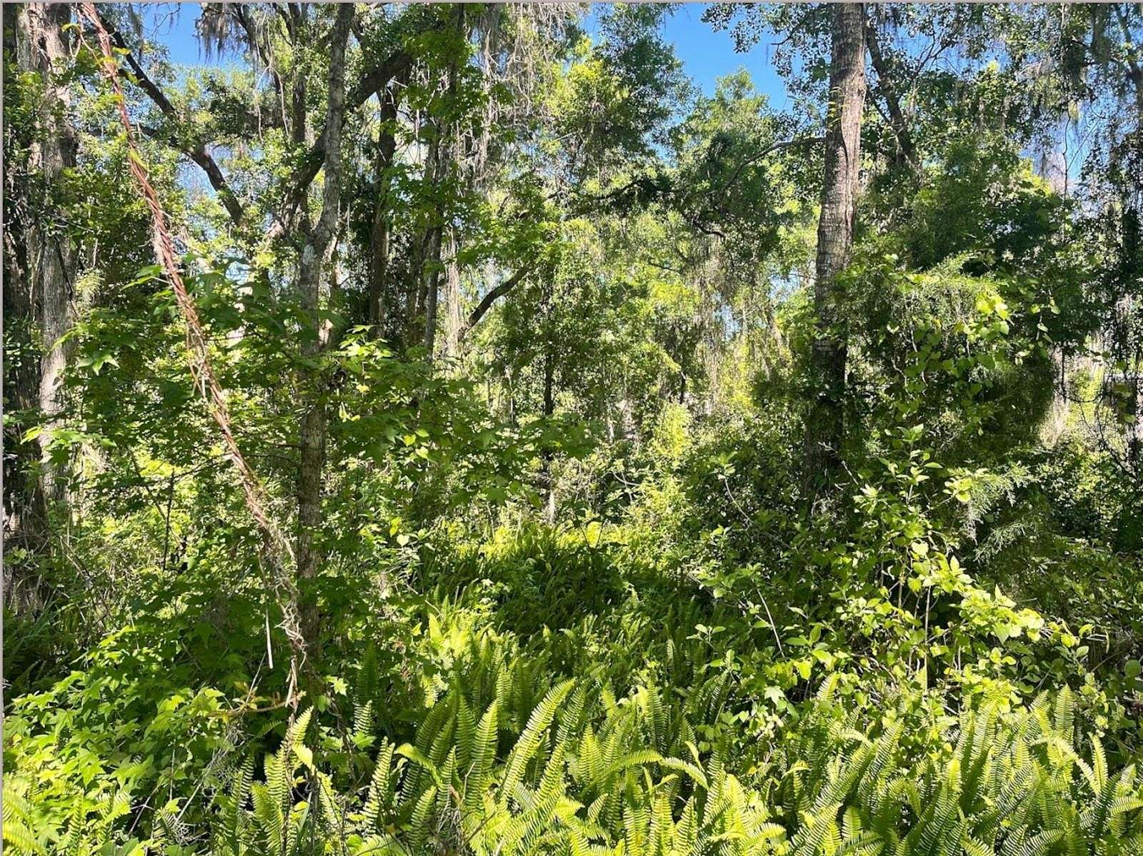 0.74 Acres of Residential Land for Sale in Brooksville, Florida