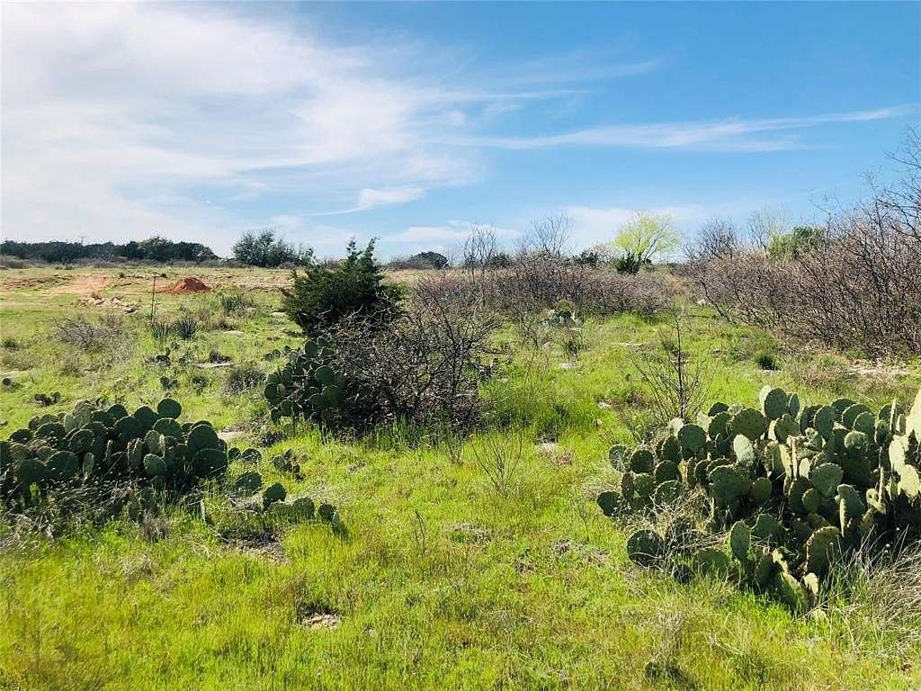 0.32 Acres of Residential Land for Sale in Graford, Texas