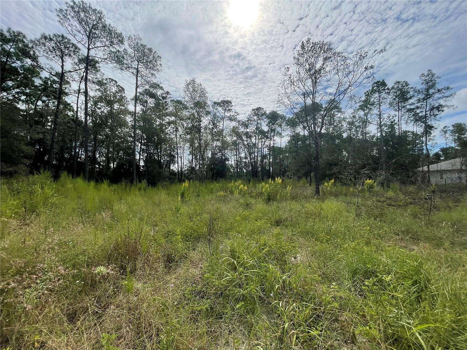 3.3 Acres of Residential Land for Sale in Wesley Chapel, Florida