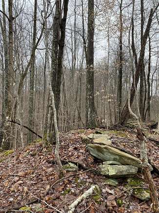 103.5 Acres of Recreational Land for Sale in Swords Creek, Virginia ...