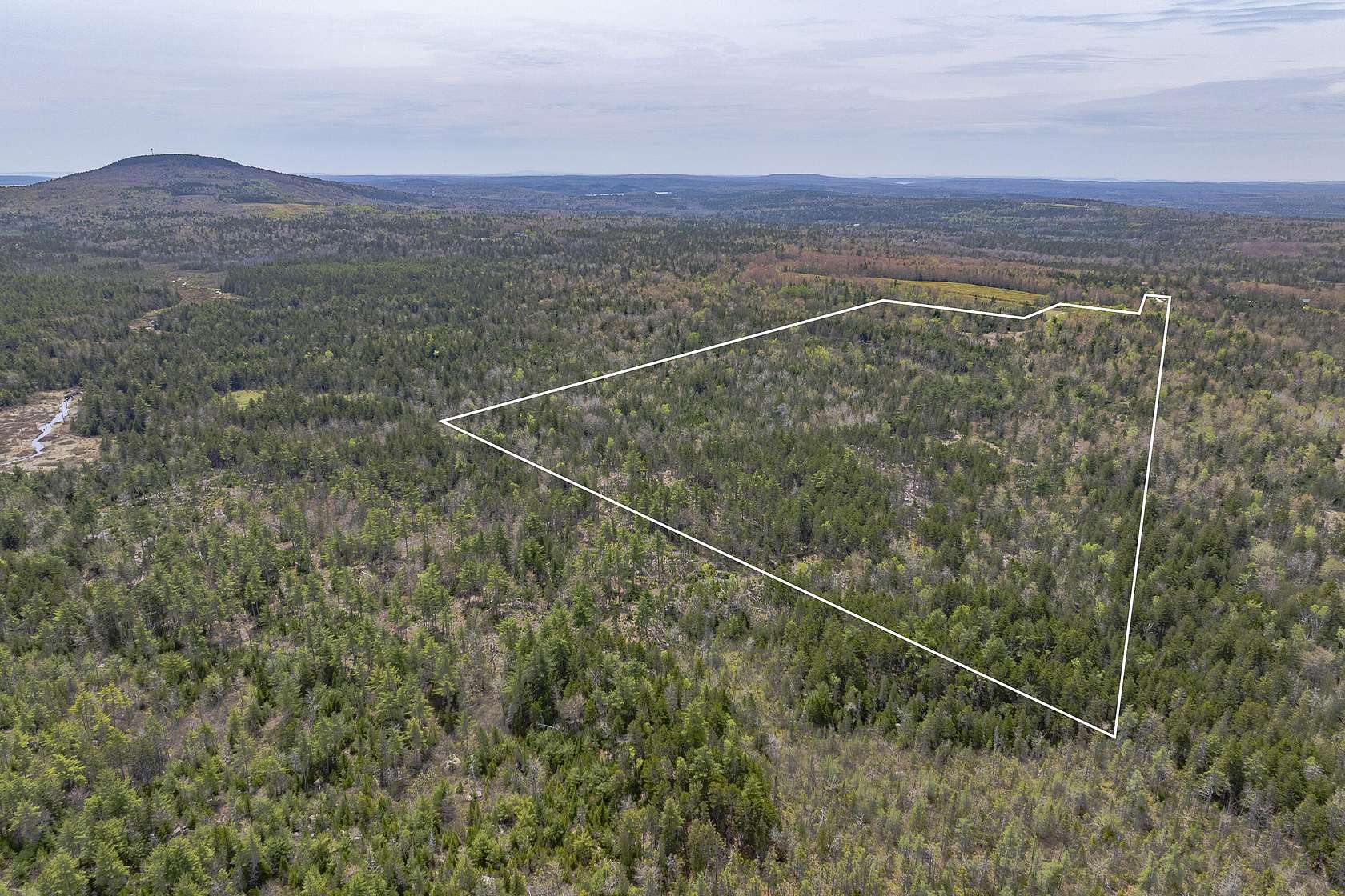 75 Acres of Land for Sale in Blue Hill, Maine