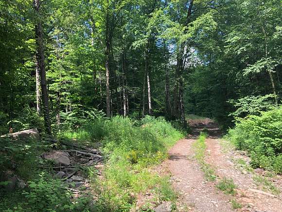 5 Acres of Residential Land for Sale in Phoenicia, New York