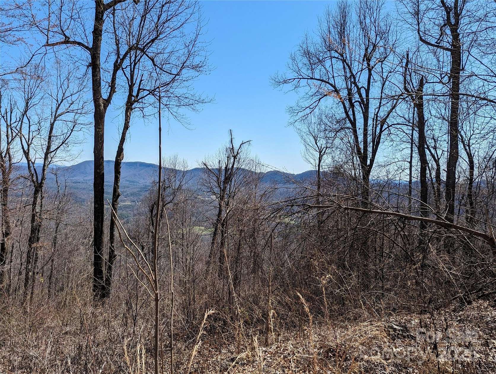 3.1 Acres of Residential Land for Sale in Black Mountain, North Carolina
