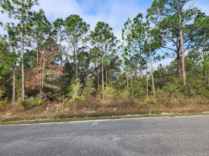 0.48 Acres of Land for Sale in Panacea, Florida
