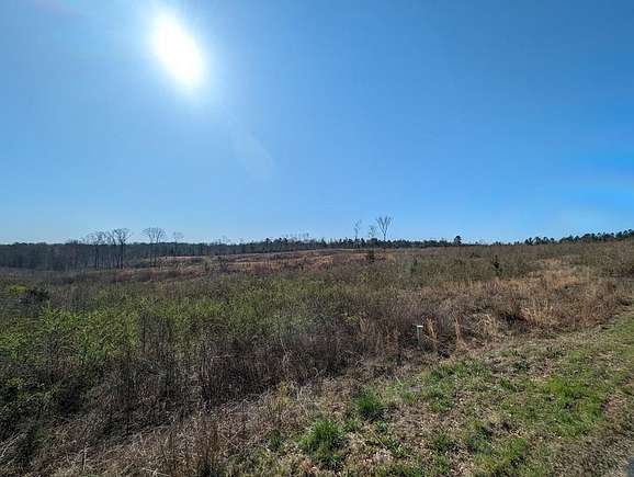 31.6 Acres of Land for Sale in Waterloo, South Carolina