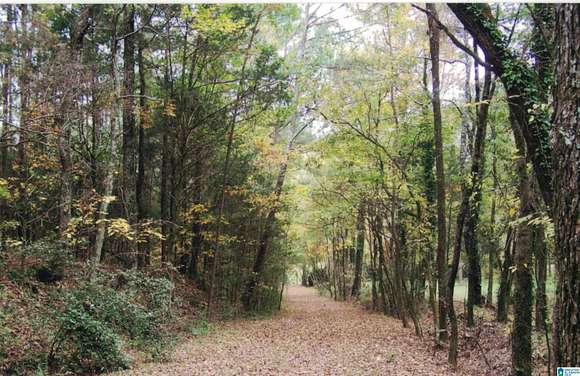 16 Acres of Land for Sale in Anniston, Alabama