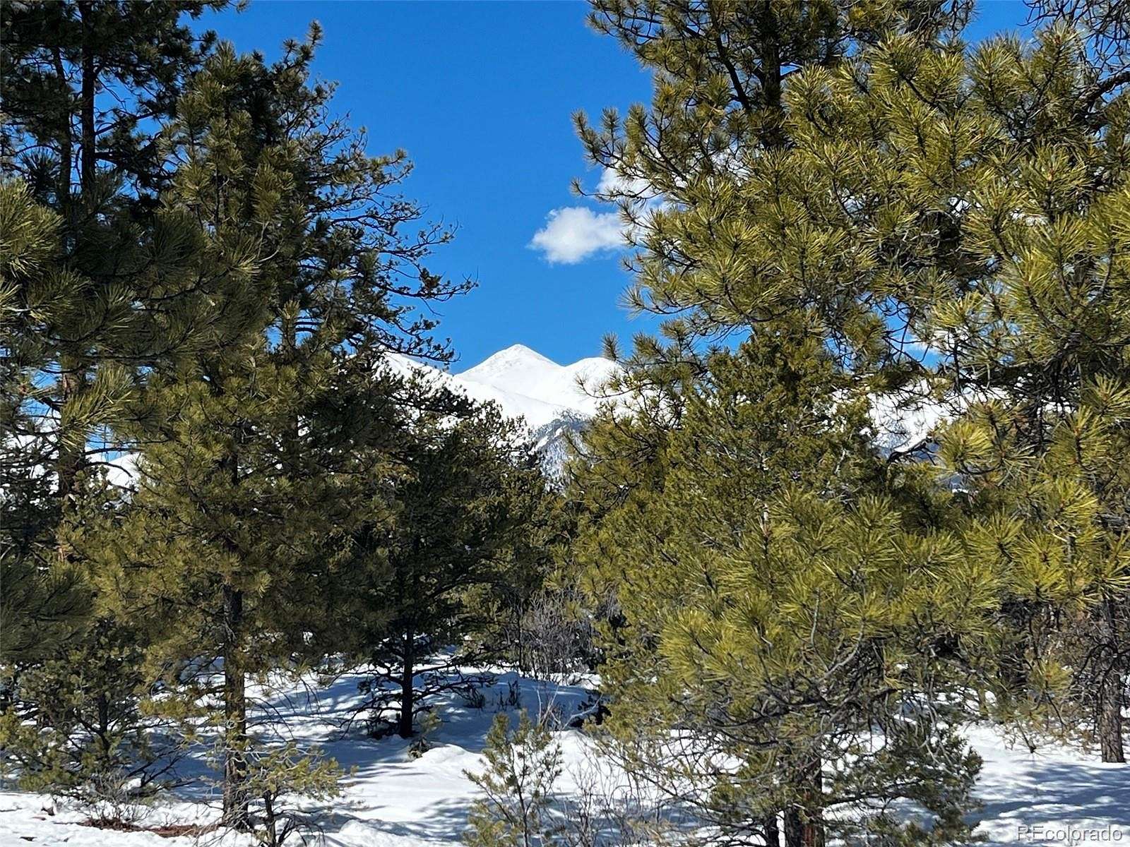 13.1 Acres of Land for Sale in Salida, Colorado