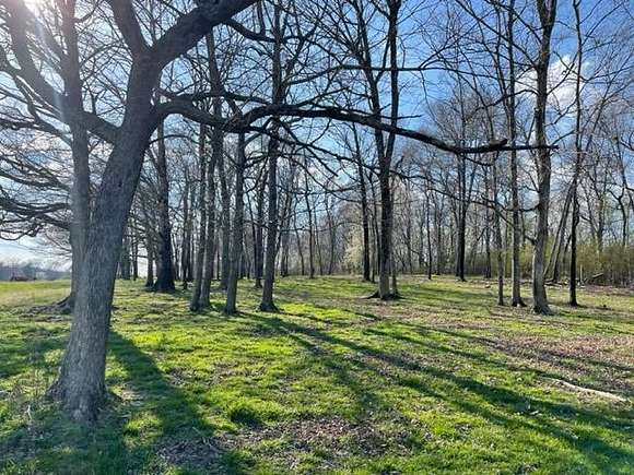 5 Acres of Land for Auction in Smithville, Tennessee