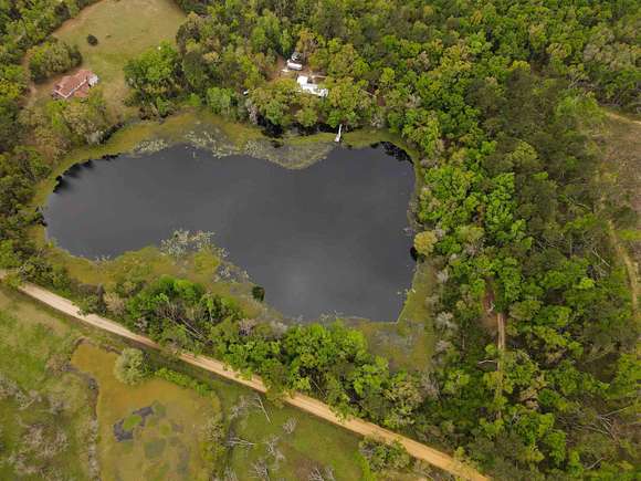 19.2 Acres of Land with Home for Sale in Madison, Florida