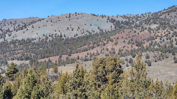 11.9 Acres of Land for Sale in John Day, Oregon
