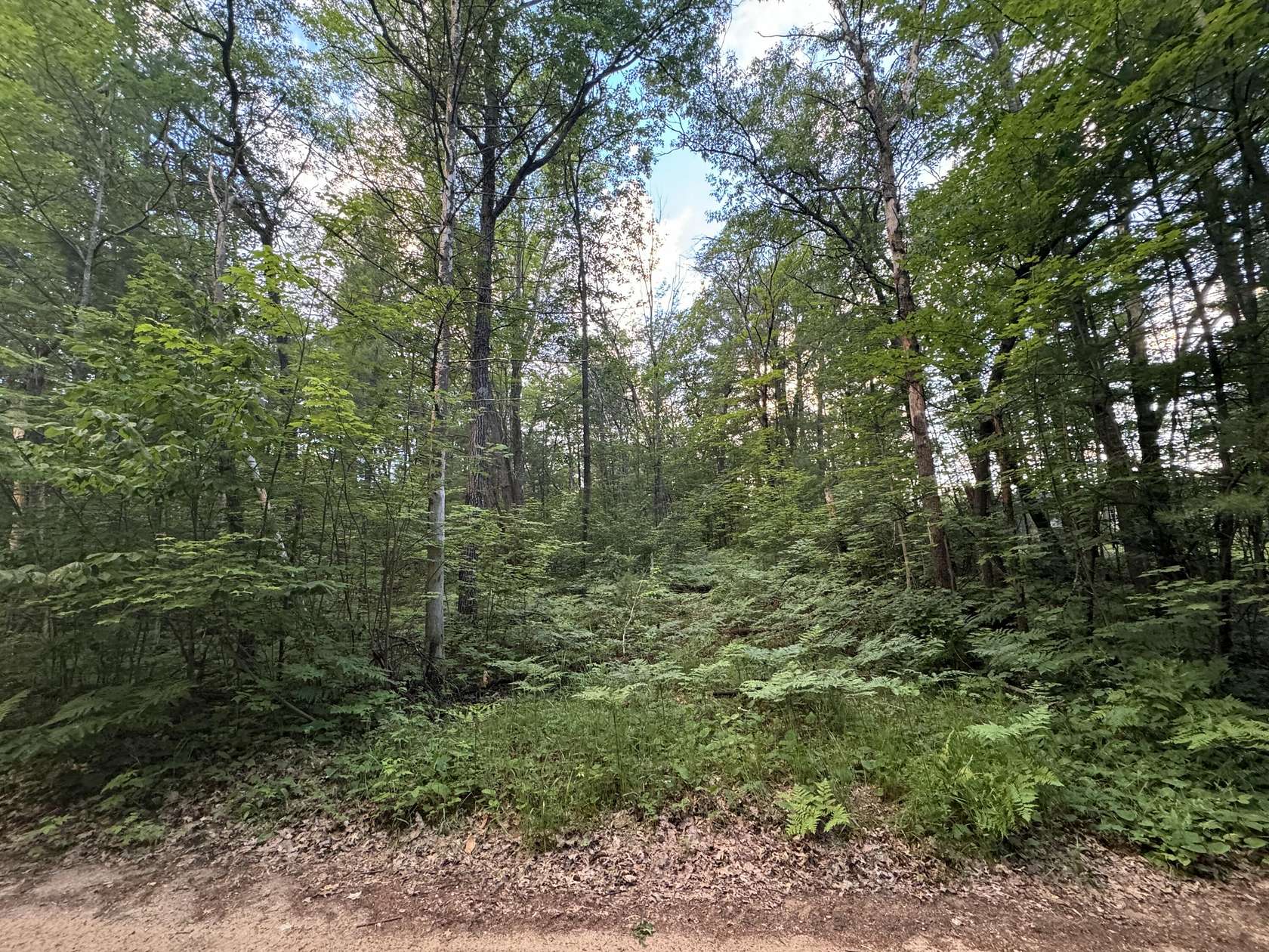 Land for Sale in Johannesburg, Michigan