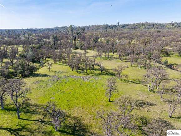 40 Acres of Land for Sale in Red Bluff, California