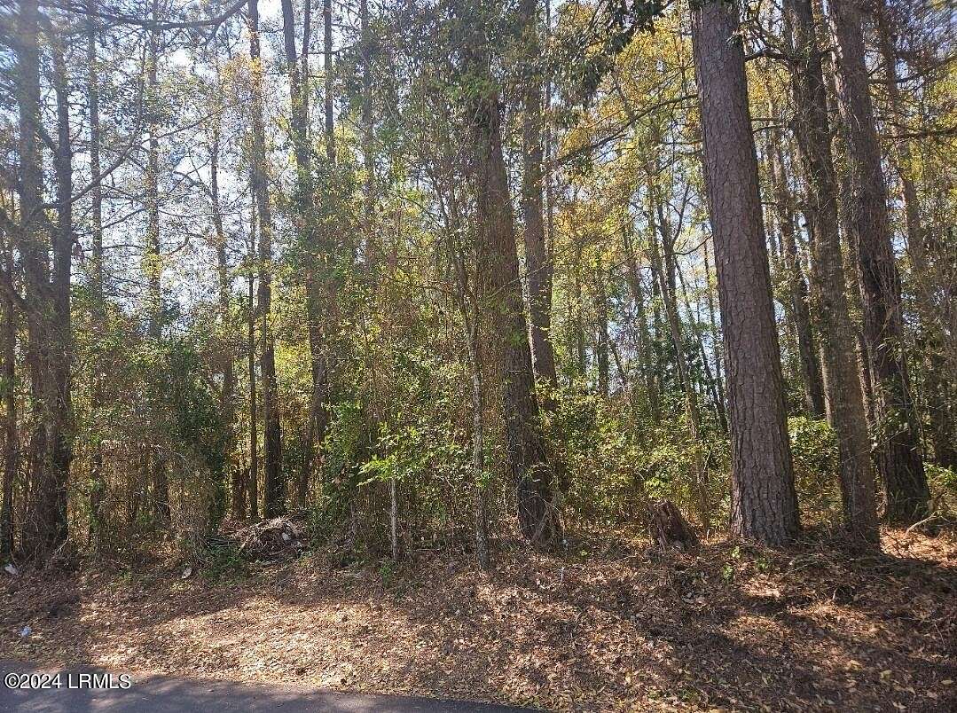 0.3 Acres of Residential Land for Sale in Burton, South Carolina