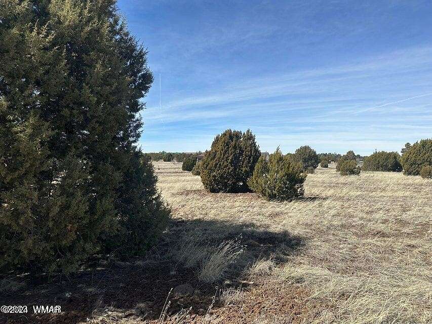 0.2 Acres of Residential Land for Sale in Show Low, Arizona