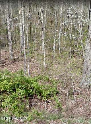 0.22 Acres of Residential Land for Sale in Crossville, Tennessee