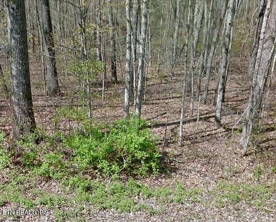 0.28 Acres of Residential Land for Sale in Crossville, Tennessee