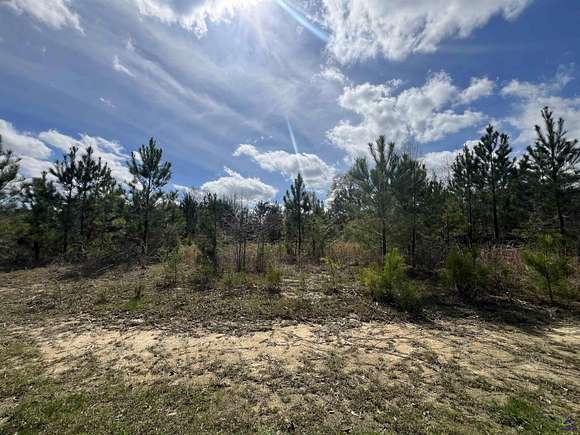 0.46 Acres of Residential Land for Sale in Bonaire, Georgia