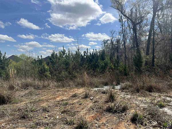 0.52 Acres of Residential Land for Sale in Bonaire, Georgia