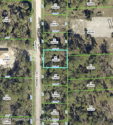 0.2 Acres of Residential Land for Sale in Weeki Wachee, Florida