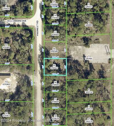 0.2 Acres of Residential Land for Sale in Weeki Wachee, Florida