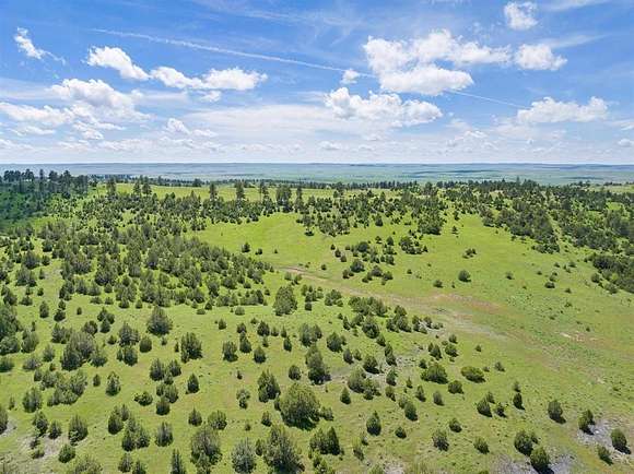 57 Acres of Land for Sale in Oshoto, Wyoming