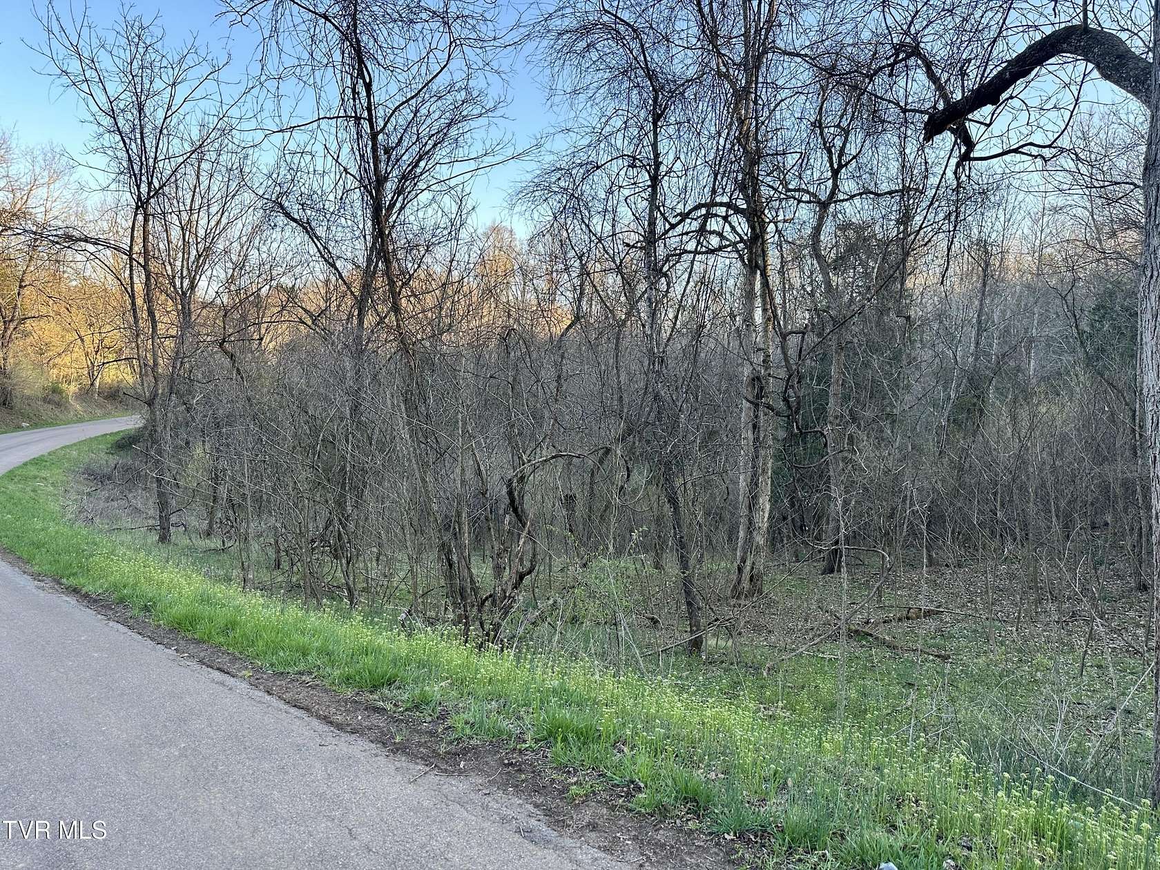 189 Acres of Recreational Land for Sale in Dungannon, Virginia