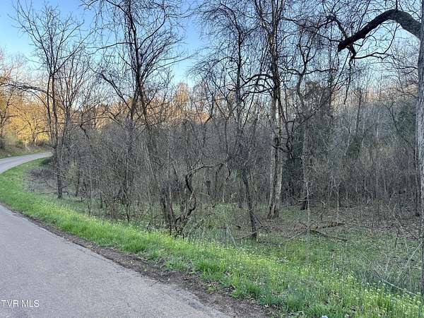 189 Acres of Recreational Land for Sale in Dungannon, Virginia