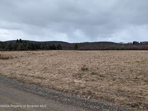11.3 Acres of Land for Sale in Pleasant Mount, Pennsylvania