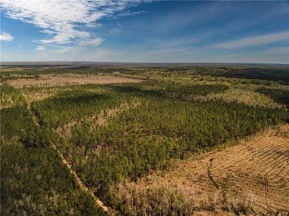 74.5 Acres of Recreational Land for Sale in Pearl River, Louisiana