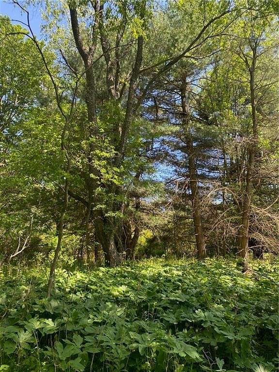 7 Acres of Land for Sale in Ithaca, New York