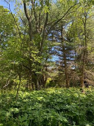 7 Acres of Land for Sale in Ithaca, New York