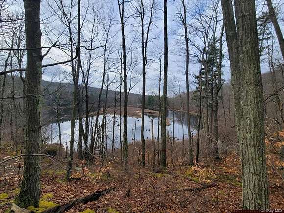 43 Acres of Recreational Land for Sale in Oneonta, New York