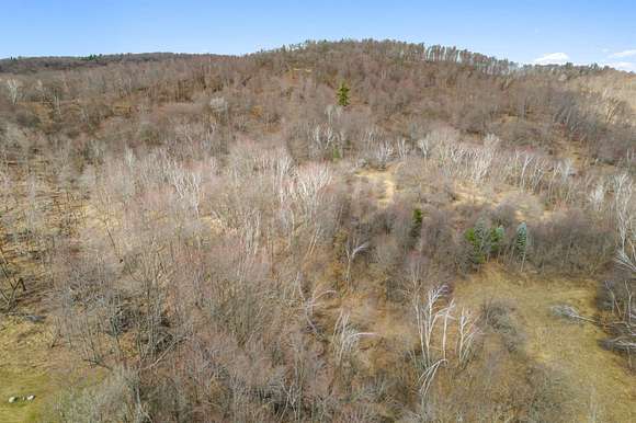 40 Acres of Recreational Land for Sale in Tomah, Wisconsin